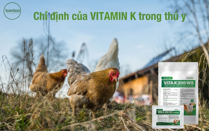 Vitamin K3 có tác dụng gì đối với sự trao đổi chất?