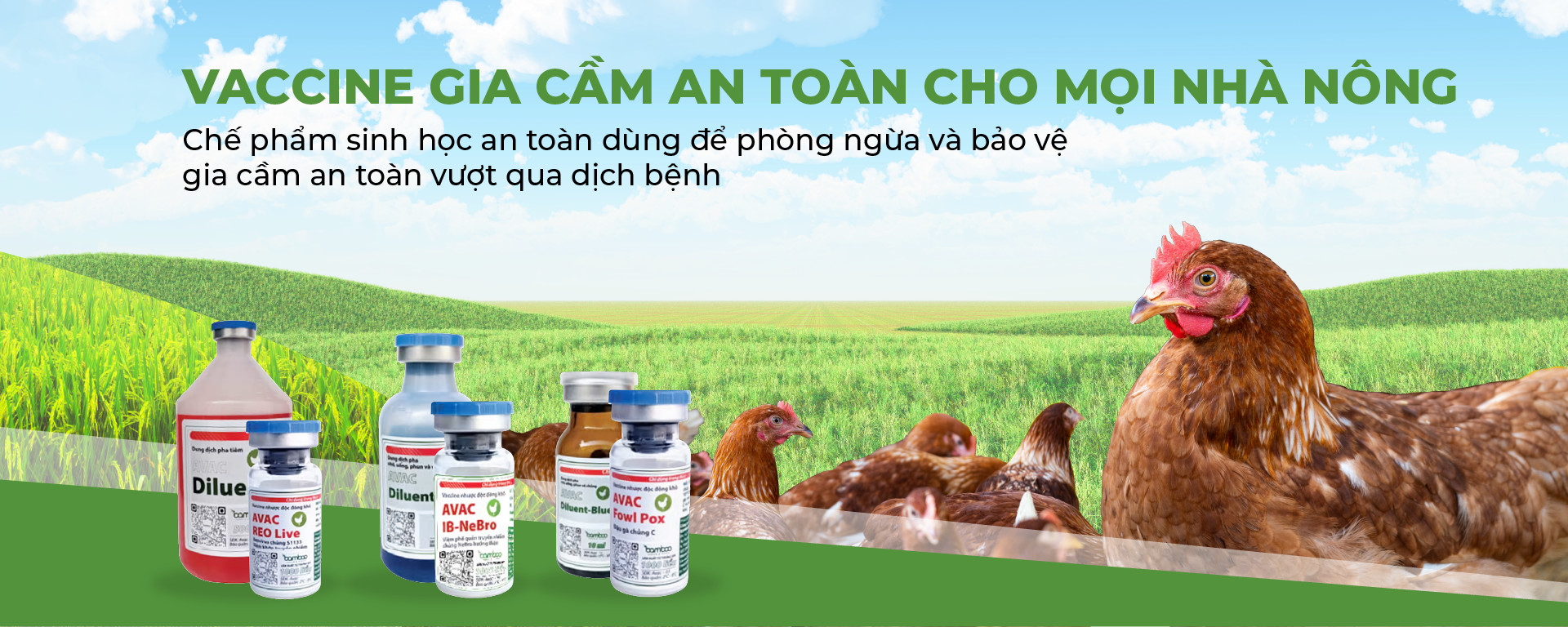 Vaccine gia cầm