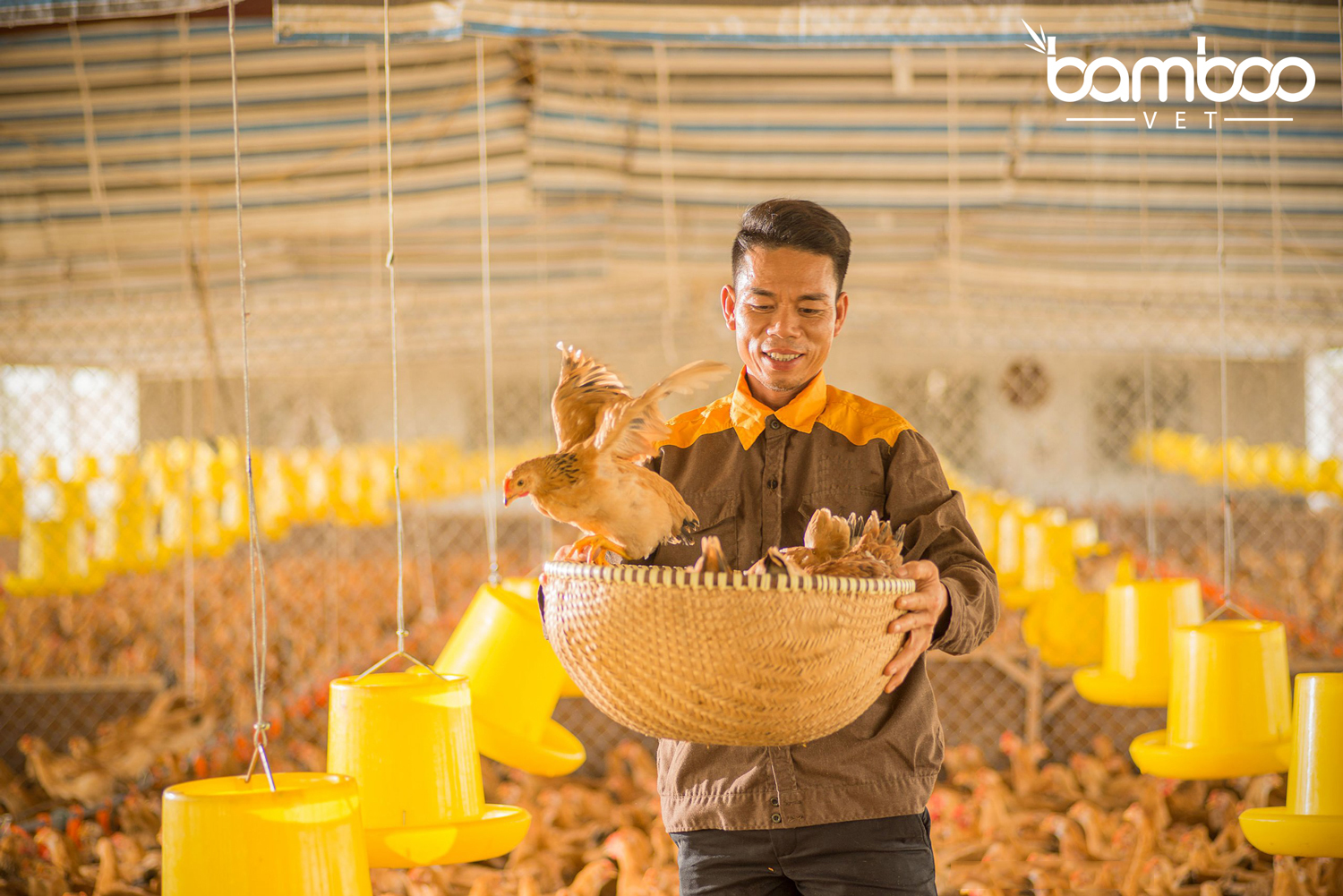 Bãi bỏ nhiều thủ tục hành chính lĩnh vực thú y và kiểm dịch động vật