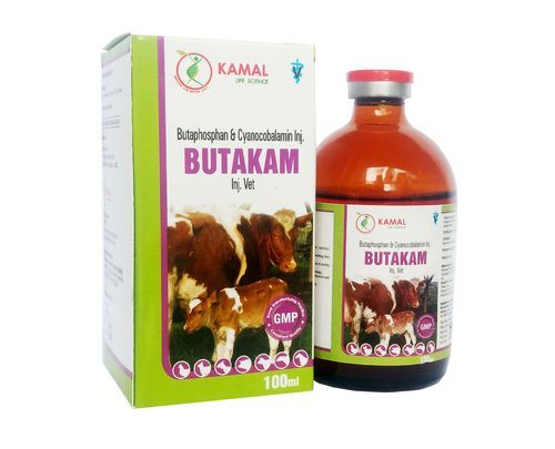 Các Bệnh Tiêu Hóa Mà Chó Mèo Thường Gặp Phải