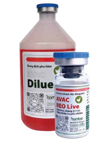 Phân loại các loại Vaccine phòng bệnh cho gia cầm