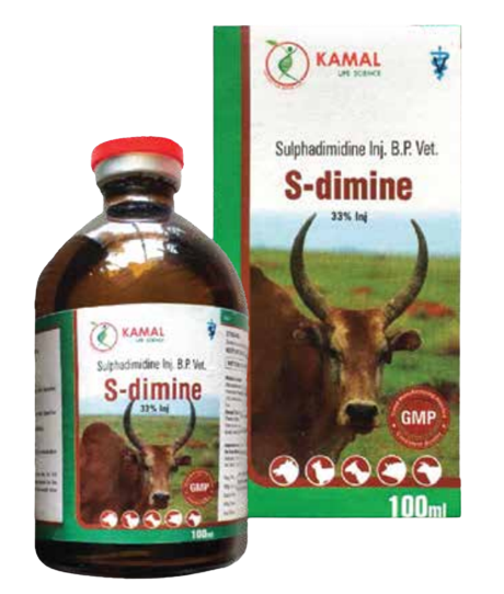 Cách điều trị bệnh tụ huyết trùng cho bò hiệu quả mà bà con chưa biết