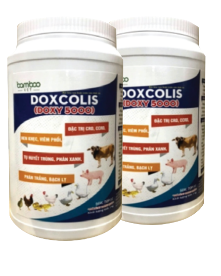 7 bệnh thường gặp ở lợn: Dấu hiệu, cách phòng tránh & hướng điều trị