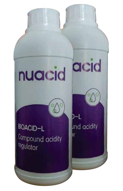 Cảnh báo hiện tượng tôm chết rớt đáy ao hồ 