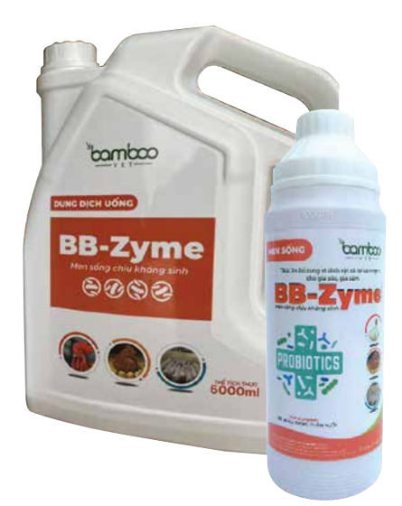 Cảnh báo hiện tượng tôm chết rớt đáy ao hồ 