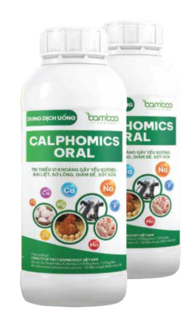 Cách nhận biết tôm bị thiếu khoáng và cách xử lý